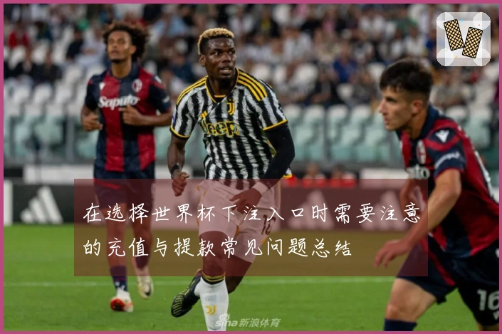 在选择世界杯下注入口时需要注意的充值与提款常见问题总结