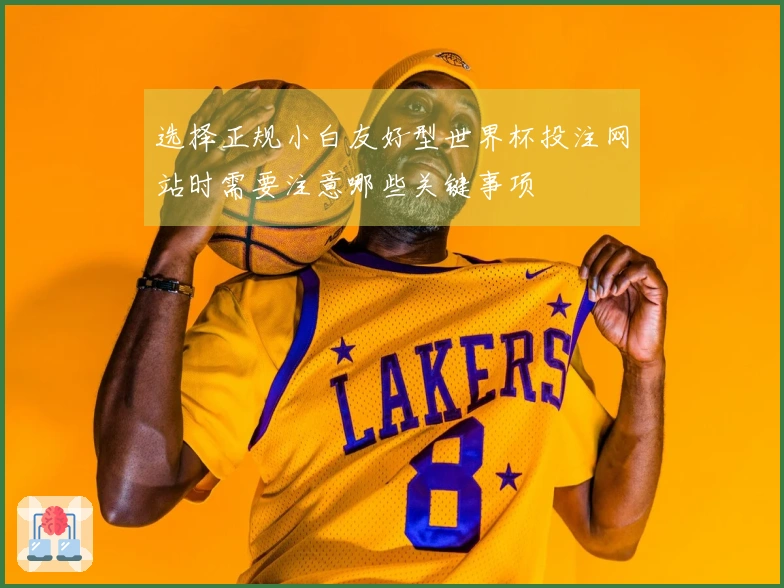 选择正规小白友好型世界杯投注网站时需要注意哪些关键事项