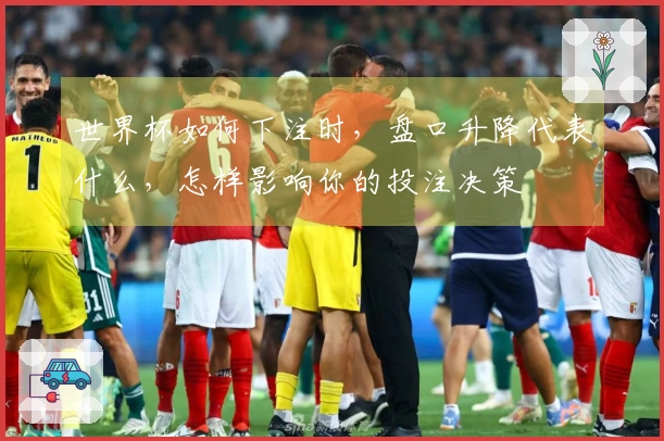 世界杯如何下注时，盘口升降代表什么，怎样影响你的投注决策