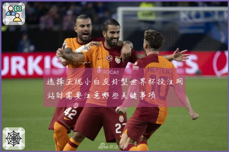 选择正规小白友好型世界杯投注网站时需要注意哪些关键事项