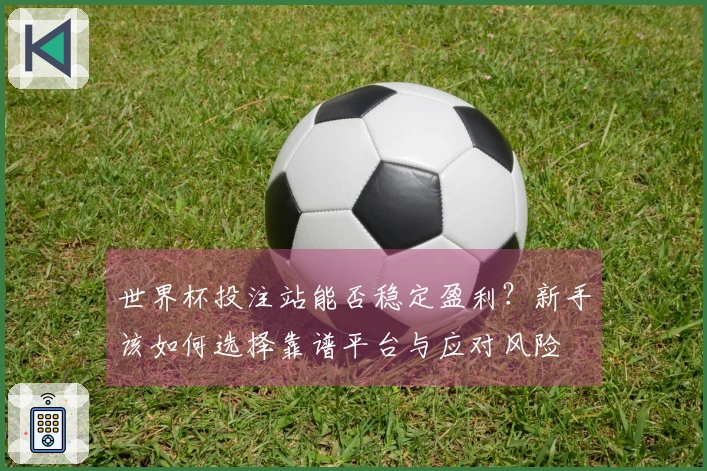 世界杯投注站能否稳定盈利？新手该如何选择靠谱平台与应对风险