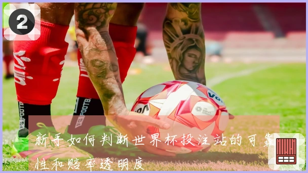 新手如何判断世界杯投注站的可靠性和赔率透明度