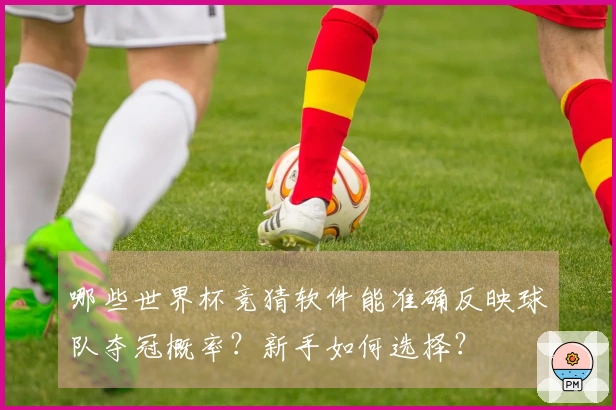 哪些世界杯竞猜软件能准确反映球队夺冠概率？新手如何选择？