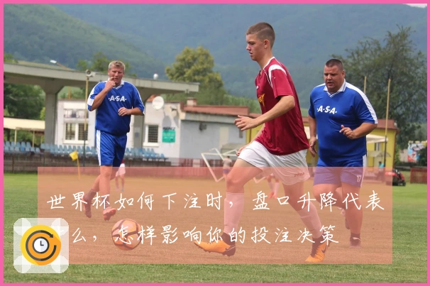 世界杯如何下注时，盘口升降代表什么，怎样影响你的投注决策