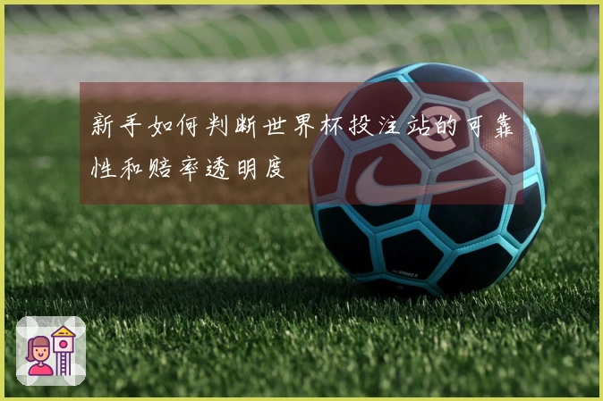 新手如何判断世界杯投注站的可靠性和赔率透明度
