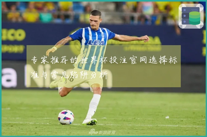 专家推荐的世界杯投注官网选择标准与常见陷阱分析