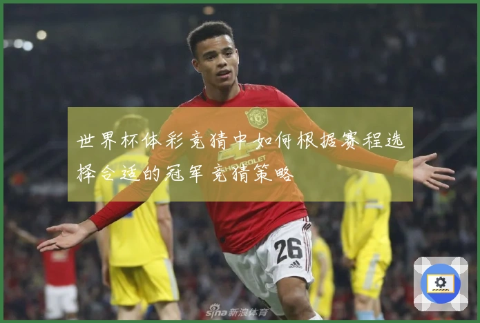世界杯体彩竞猜中如何根据赛程选择合适的冠军竞猜策略