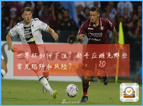 世界杯如何下注？新手应避免哪些常见陷阱和风险？